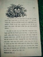 নিরুদ্দেশের পথে - Image 2