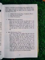 সুখী ও সুস্থগৃহ - Image 6