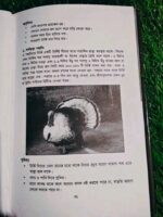 টার্কি পালন: নতুন সম্ভাবনার হাতছানি - Image 6