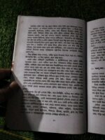 ডংরি টু ডুবাই - Image 6
