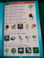 কচিকাঁচার জানার জগৎ** — ক্রিসেন্ট প্রকাশনী - Image 6
