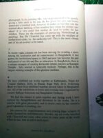 মৃৎশিল্পের নান্দনিক রূপকার - Image 10
