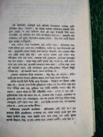 প্রবাসী পাখি** – সুনীল গঙ্গোপাধ্যায় - Image 5