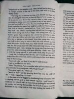 Great Expectations** – Charles Dickens - Image 6