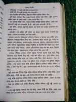 পথের পাঁচালী** – বিভূতিভূষণ বন্দ্যোপাধ্যায় - Image 7