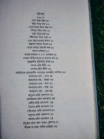 পাল্টাউল্টা (লেখক: রিচার্ড খোকন পাল) - Image 5